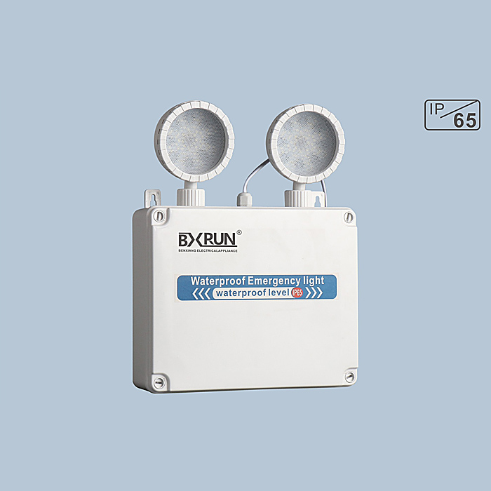 BX-FS029